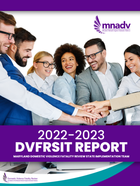 2023 DVFRSIT Report